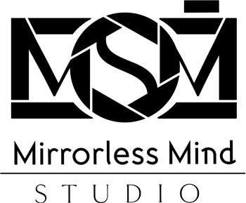 Mirrorless Mind Stuidio - SECUREDATA Authorized Partner